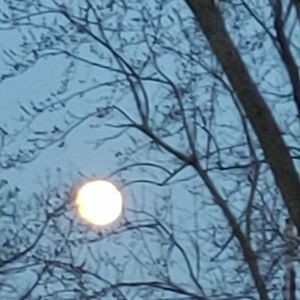 Meet your Posher, Peggy